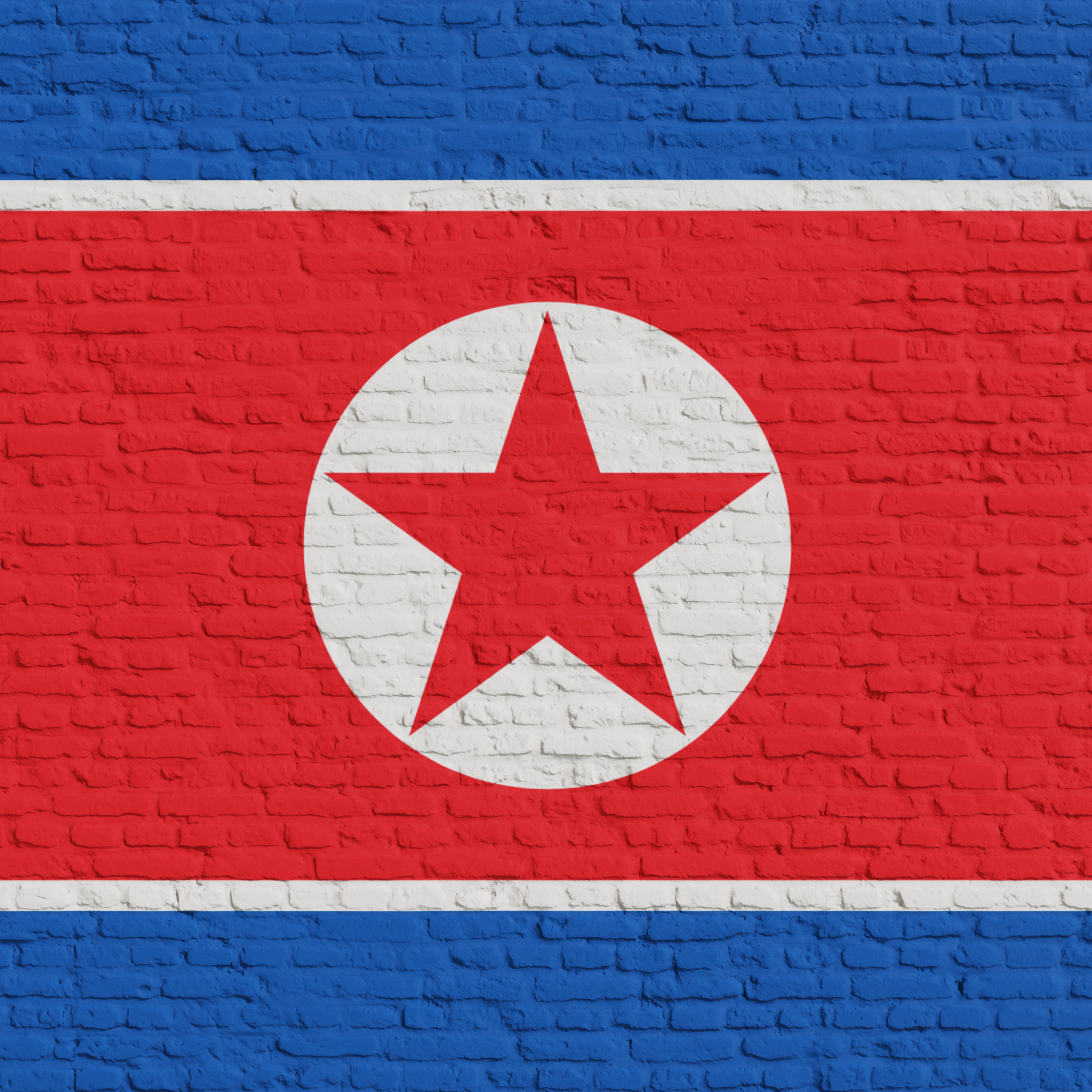 Brick Wall With Flag Of North Korea