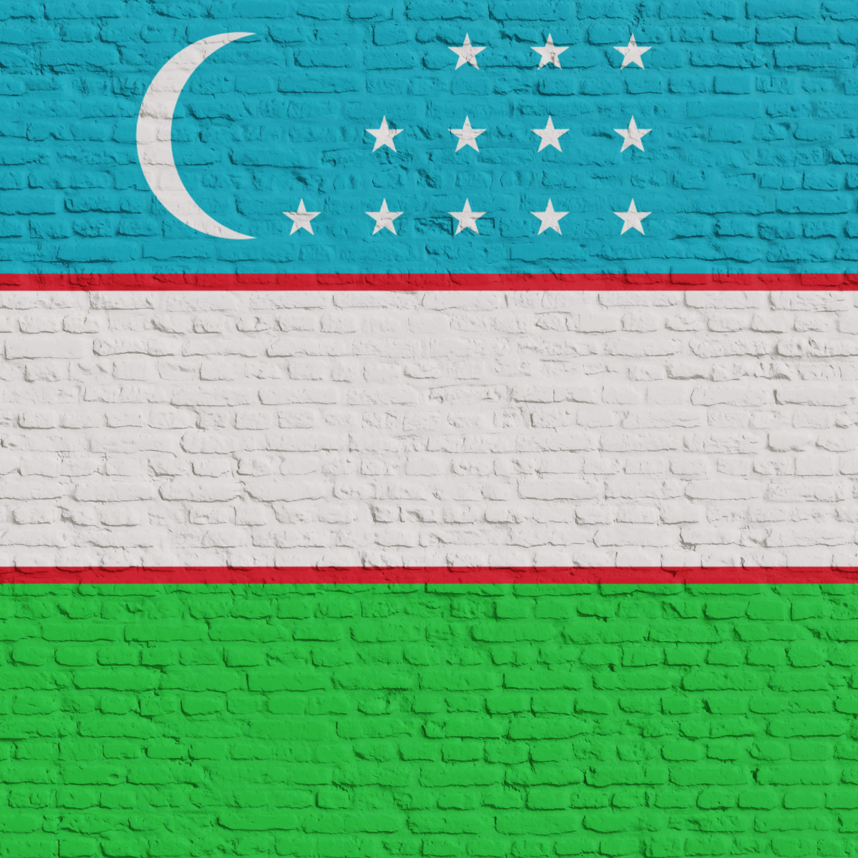 Brick Wall With Flag Of Uzbekistan